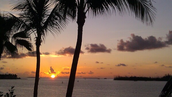 View from the Room Balcony