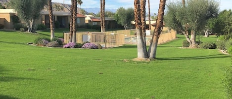 View from Back Patio Towards Pool