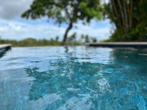 Private infinity pool with stunning garden and distant ocean views!