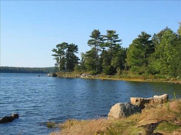 Oklassificerad bild, 1 av 34, knapp