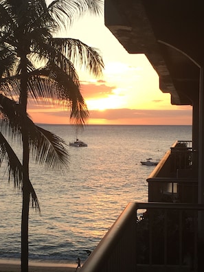 From 559 lanai