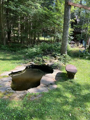 Pond, bench, swing
