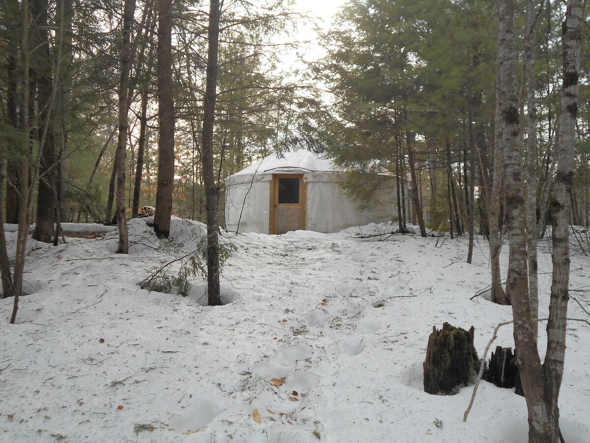 Main Image