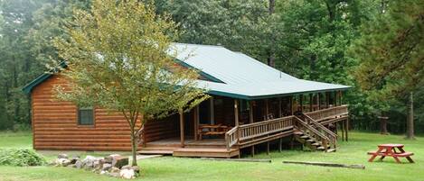 View that surrounds the cabin.  5 acres of forest land that you can enjoy
