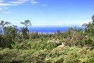 A view of our observation deck within one of our coffee fields.