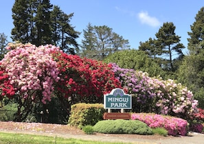 Mingus Park