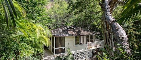 40 steps with 6" raisers down to house hidden in a secluded base of Diamond Head