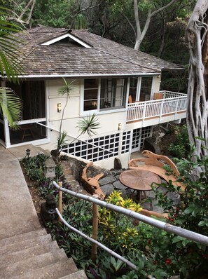 Front outdoor sitting area under a banyan tree