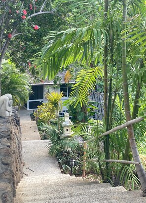 40 steps with right hand railings stepping down to house