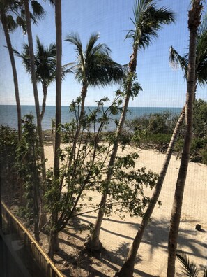 View from the apartment 