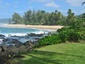 The Beach from our Yard!