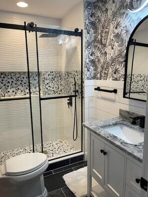 Brand new Deluxe bathroom  finished 3/15/2025