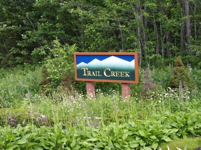 Trail Creek 3 bed 2.5 bath Sauna/Jet Tub/pool/hot tub ski home on shuttle 