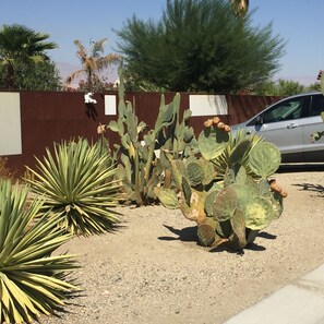 Front of property.  Fence is steel, deliberately rusted for that desert look.