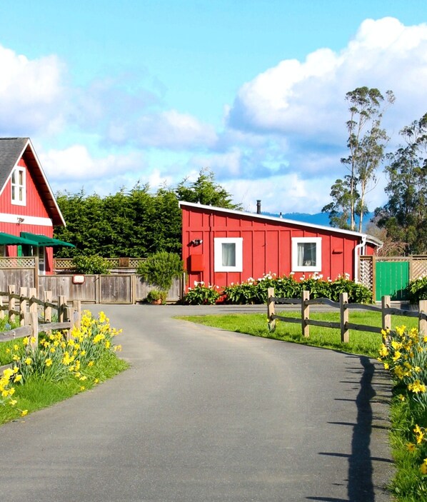 Exteriör