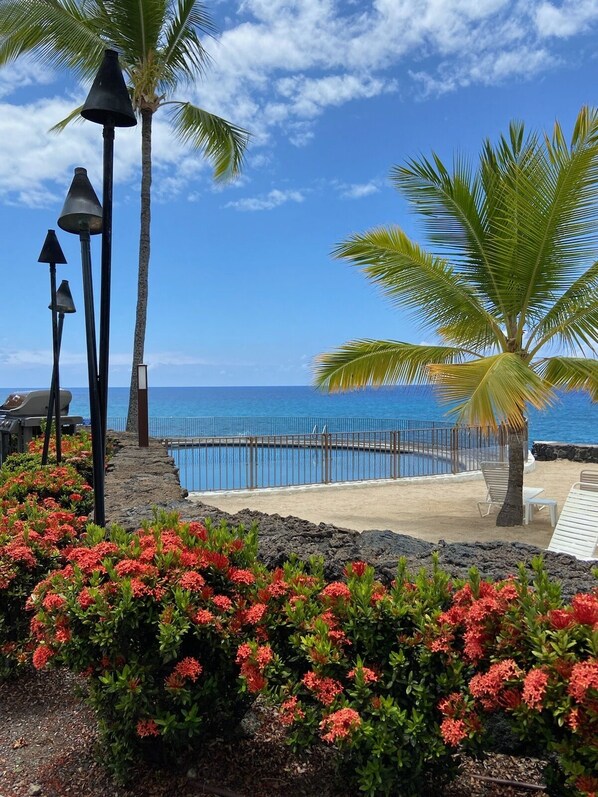 Our beautiful Ocean front pool where the waves sometimes splash in...
