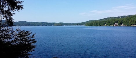 Järvi