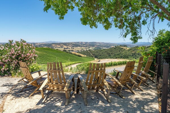 Copia Vineyard Guest House views.
