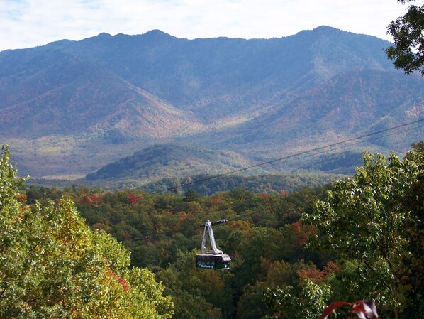 View from porch!