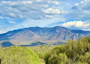 Spring in the Smokies! Photo taken from our Chalet on April 7, 2020.