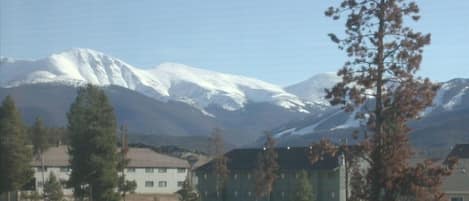 view from kitchen window