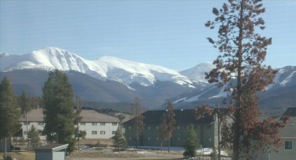 view from kitchen window