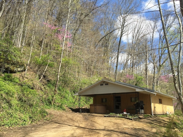 Cabin / Skyline