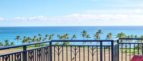 Spectacular view of the ocean from the lanai