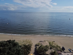 Our "lawn" & "pool", where osprey & egrets play. Low tide great for sand castles
