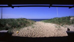 Path from the porch, through the dunes, and down to our private beach  