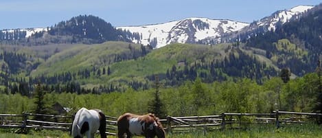 View from our back door! Best view in the Red Pine complex