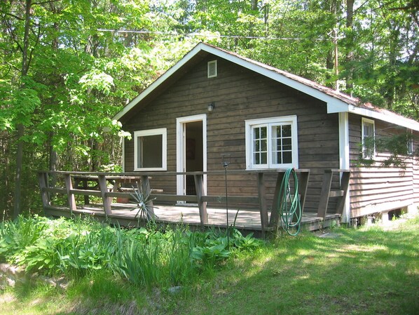 Exteriör