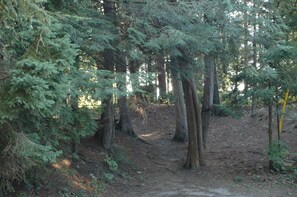 path to your cabin