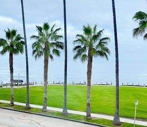 Beautiful ocean front park just across the street from condo!