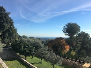 View of the sea from the terrace