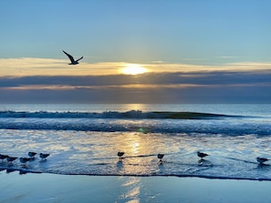 Every day is a good day at the beach. Book your vacation with us today.