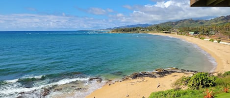 WBV 312 - Wailua Bay from the Lanai