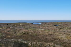 Dunes and wetlands from the back patio.