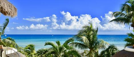 Playa Palms ocean front hotel.