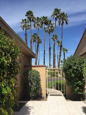 Enjoy the palms and pool steps away from private courtyard. 