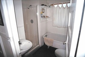 Bathroom with shower and claw-foot bath tub