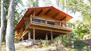 Feels like you're perched in a treehouse!