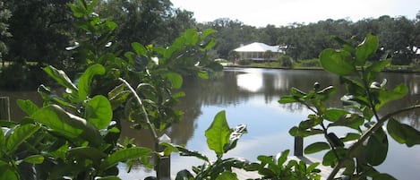 The view from the lower patio area of the cabin. 