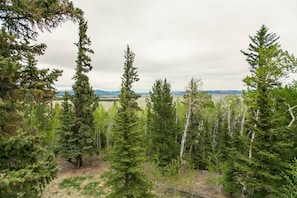 View to the north from the deck