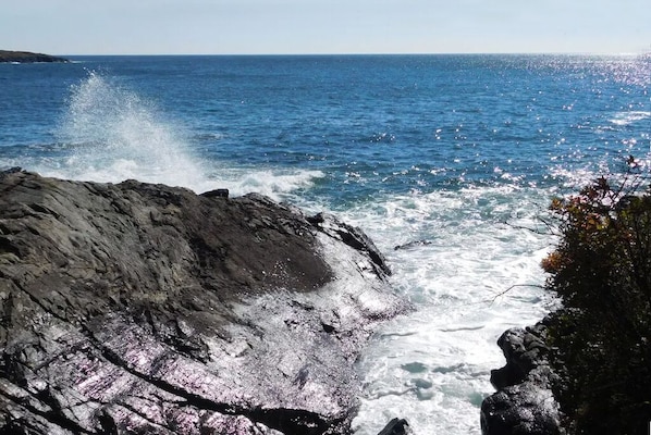 The View from the Rose Room. All Rooms Have Spectacular Views of the Ocean!