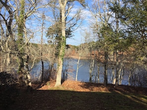  pond view from deck