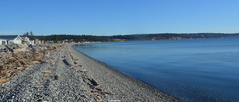 Looking south from the beach in front of the cabin