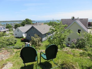Small cliff in back yard