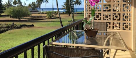 Lovely sunrise, ocean, mountain and park views from the lanai.