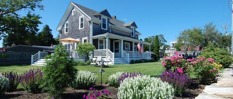 The Cottage in the Beautiful Village of Padanaram in full bloom.... 